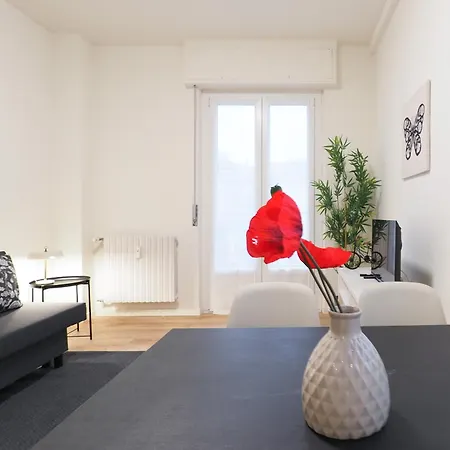 Primopiano - Tulipani * Milano